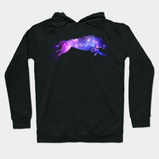 Purple x Dog Hoodie